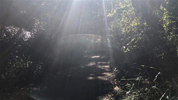 Trumper Park (24/08/2019 - Credits: Shannon Wheeler)
