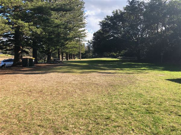 Gerroa (28/07/2019 - Credits: Shannon Wheeler)