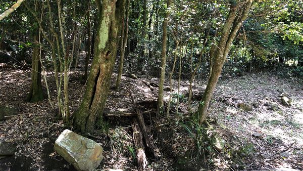 Otford Farm - Paintball Property (19/11/2019 - Credits: Screen NSW)