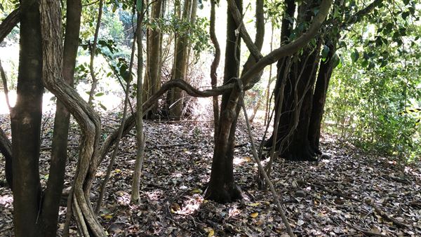 Otford Farm - Paintball Property (19/11/2019 - Credits: Screen NSW)