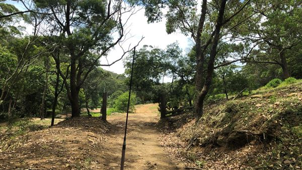 Otford Farm - The Pines Paddock with Jungle Gully (19/11/2019 - Credits: Screen NSW)