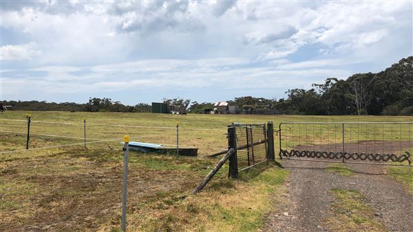 Otford Farm - Crazy T Farm (19/11/2019 - Credits: Screen NSW)