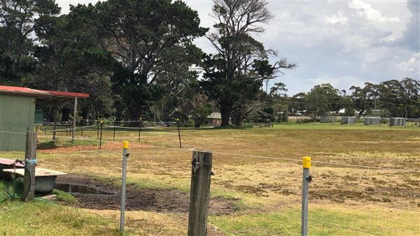 Otford Farm - Crazy T Farm (19/11/2019 - Credits: Screen NSW)