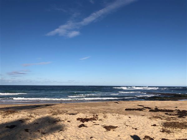 Berrara Beaches (7/07/2020 - Credits: Shannon Wheeler)