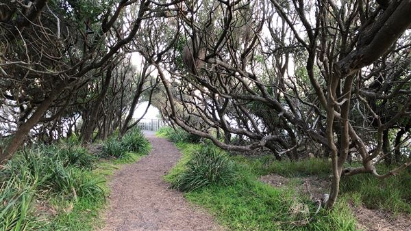 Berrara Beaches (7/07/2020 - Credits: Shannon Wheeler)