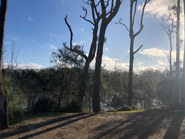 Berrara Creek - Conjola National Park (6/07/2020 - Credits: Shannon Wheeler)