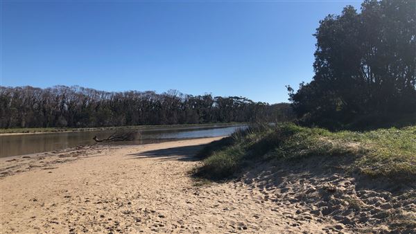 Berrara Creek - Conjola National Park (6/07/2020 - Credits: Shannon Wheeler)