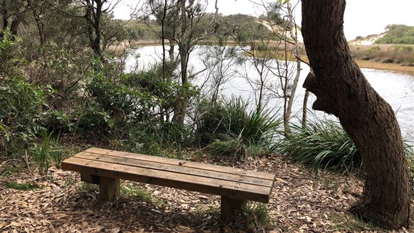 Swan Lake Inlet - Cudmirrah Beach (8/07/2020 - Credits: Shannon Wheeler)