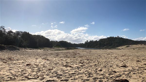 Swan Lake Inlet - Cudmirrah Beach (8/07/2020 - Credits: Shannon Wheeler)