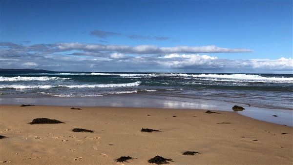 Swan Lake Inlet - Cudmirrah Beach (8/07/2020 - Credits: Shannon Wheeler)