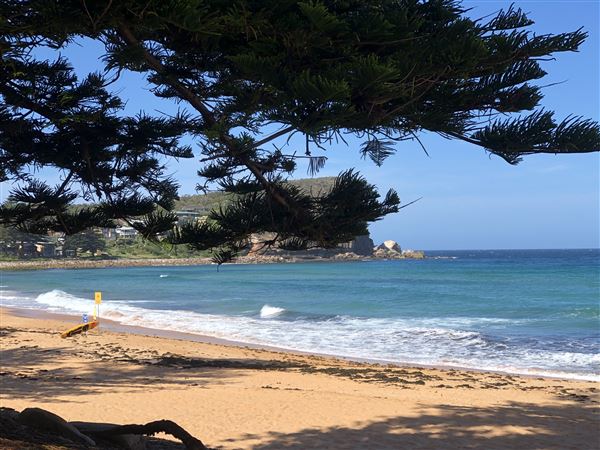 Avalon Beach (19/11/2020 - Credits: Cheryl Conway)