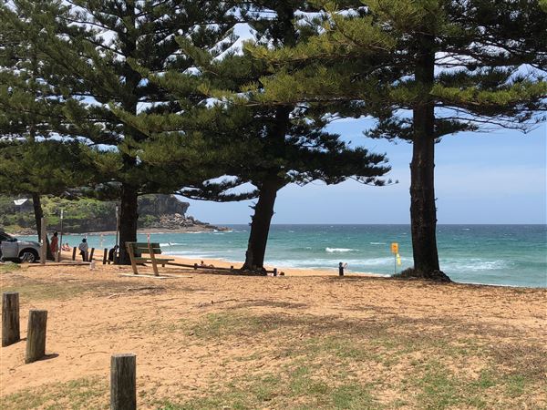 Whale Beach (20/11/2020 - Credits: Screen NSW)