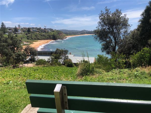 Warriewood (20/11/2020 - Credits: Shannon Wheeler)