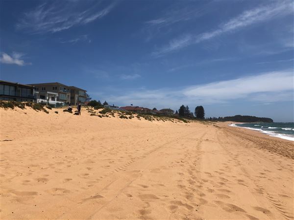 Narrabeen & North Narrabeen (20/11/2020 - Credits: Shannon Wheeler)