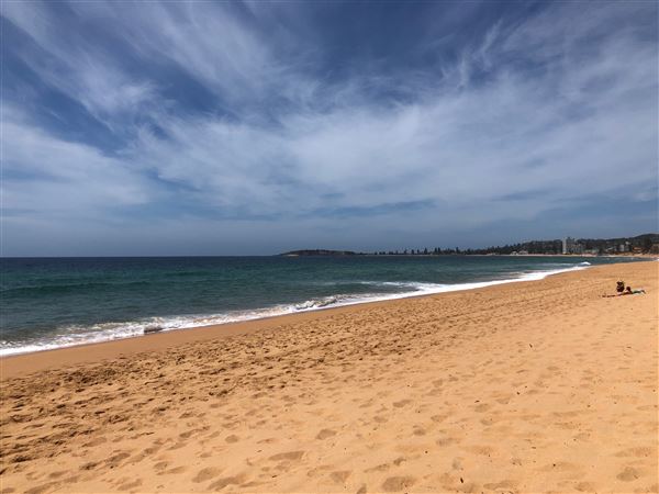 Narrabeen & North Narrabeen - Beaches & Lakes (20/11/2020 - Credits: Shannon Wheeler)