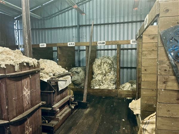 Tobruk Sheep Station - Shearing Shed & Event Venue - These photos were taken at the end of summer however, it was an unusually overcast yet bright day. (23/02/2021 - Credits: Cheryl Conway)