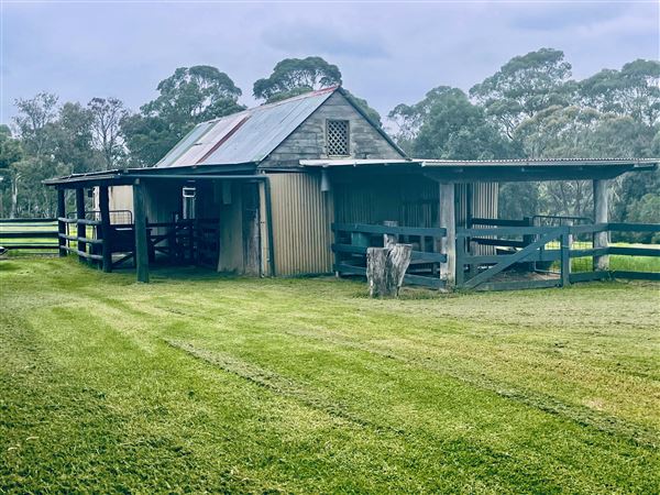 Tobruk Sheep Station - Cottages & surrounds - Summer but usually overcast & glarey. (23/02/2021 - Credits: Cheryl Conway)