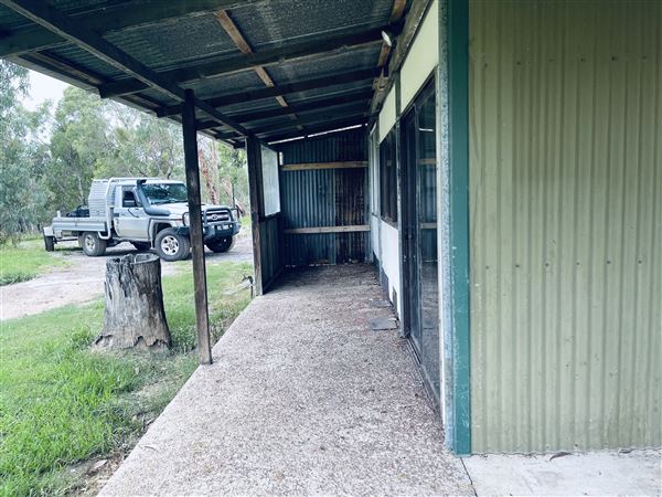 Tobruk Sheep Station - Cottages & surrounds - Summer but usually overcast & glarey. (23/02/2021 - Credits: Cheryl Conway)