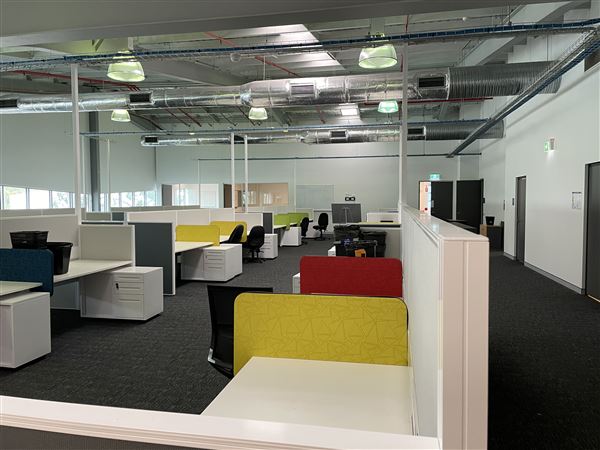Open Plan Office space Lidcombe (networked) -  Short term leases available up until end of 2022 (8/03/2021 - Credits: Screen NSW Mechele Axford)