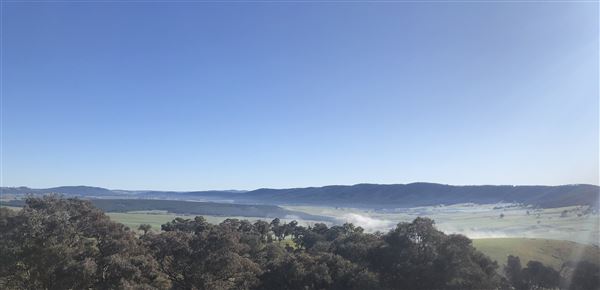 Private Property - Tumbarumba, NSW (1/06/2020 - Credits: Derek Smith)