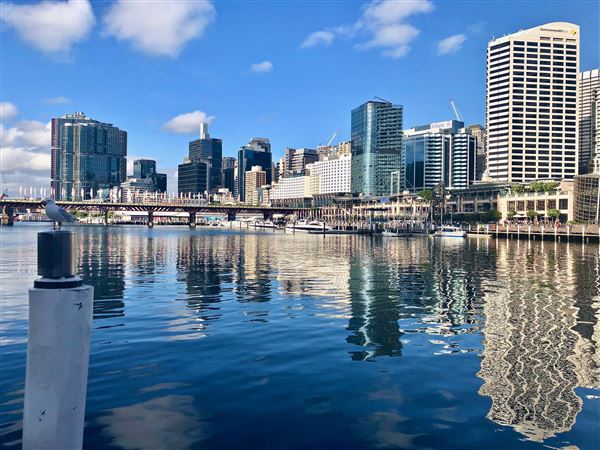 Darling Harbour (20/11/2017 - Credits: Cheryl Conway)