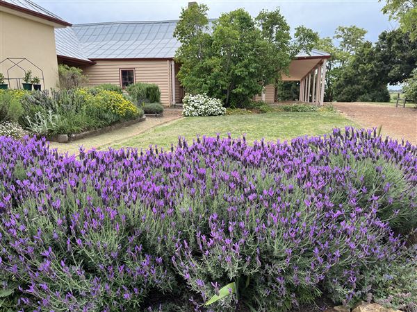 Cooma Cottage (15/11/2021 - Credits: Nicole Taylor)