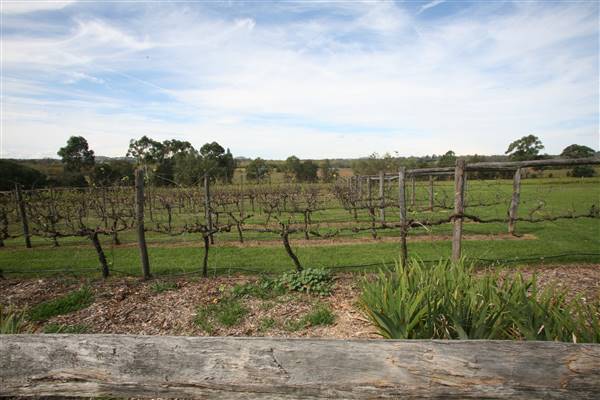 Belgenny Farm (15/03/2016)
