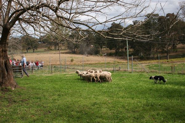 Belgenny Farm (13/04/2023 10:29:28 PM)