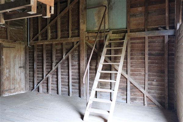 Belgenny Farm (12/04/2023 - Credits: Screen NSW)