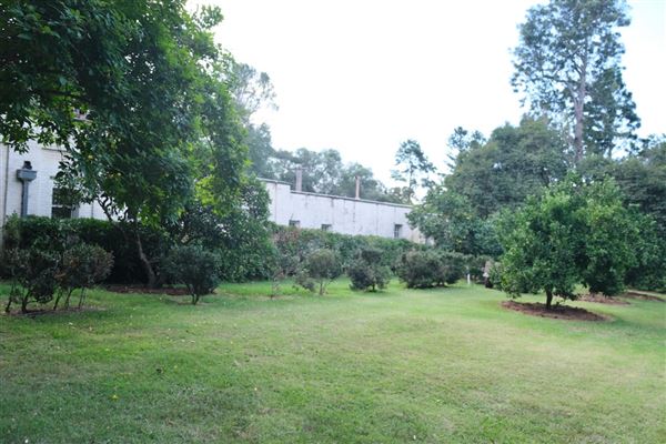 Camden Park House (12/04/2023 - Credits: Screen NSW)