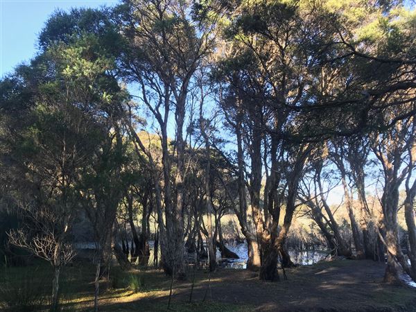 Glenbrook Lagoon (24/05/2023 - Credits: BMCC)