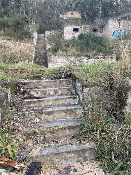 Birdsong Bower - Disused Coal Mine (1/05/2023 - Credits: Brooke Lazarevic)