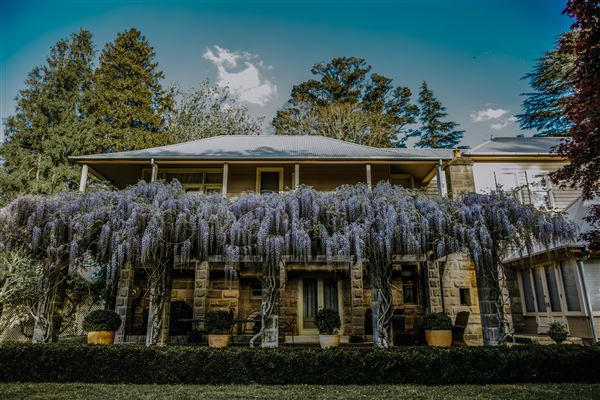 Dennarque Estate (17/07/2018 - Credits: Evan Wang)