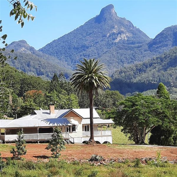 Mt Warning Estate (12/09/2023 - Credits: Graham Dietrich)