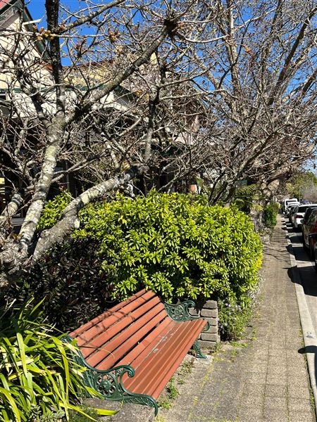Leura Village (14/09/2023 - Credits: Julie Miller)