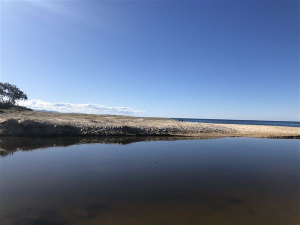 Nambucca Heads Swimming Creek (9/10/2020 - Credits: Shannon Wheeler)