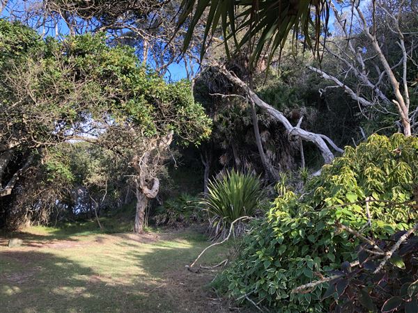 Nambucca Heads Swimming Creek (9/10/2020 - Credits: Shannon Wheeler)