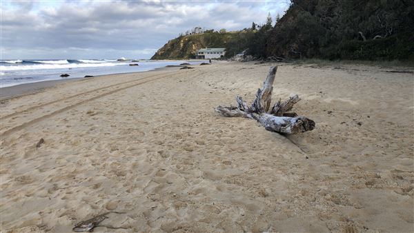 Nambucca Heads (14/07/2020 - Credits: Shannon Wheeler)