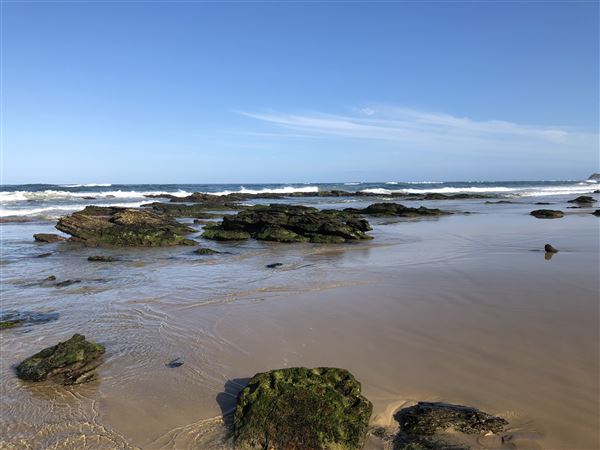 Nambucca Heads (9/10/2020 - Credits: Shannon Wheeler)