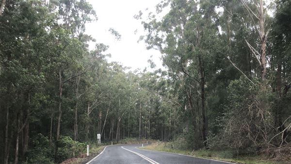 Nambucca Heads (9/10/2020 - Credits: Shannon Wheeler)