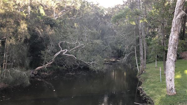 Nambucca Heads (9/10/2020 - Credits: Shannon Wheeler)