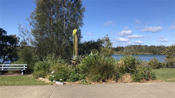 Nambucca Heads (9/10/2020 - Credits: Shannon Wheeler)