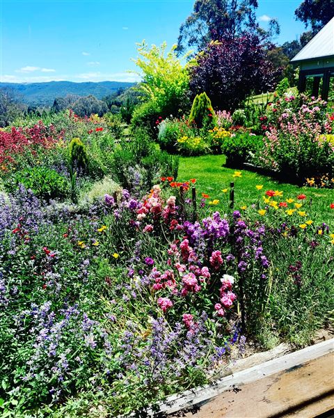 Hartvale Gardens and Cottage (30/10/2023 - Credits: Jennifer Edwards)