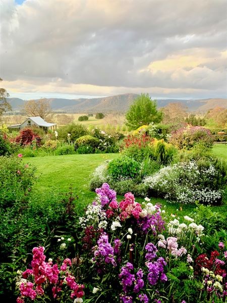 Hartvale Gardens and Cottage (30/10/2023 - Credits: Jennifer Edwards)