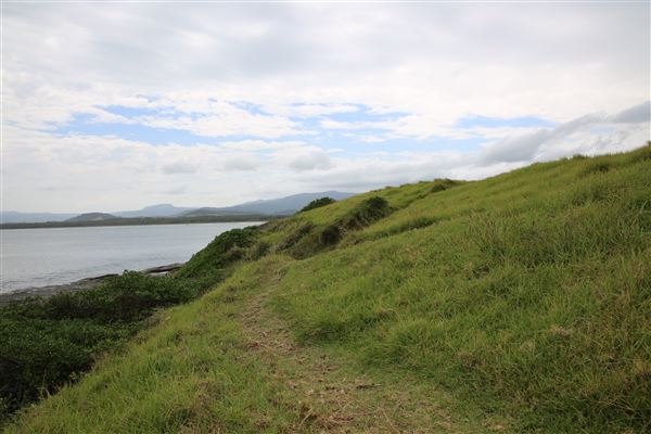 Black Head Reserve (11/01/2018 - Credits: Lisa Scope)