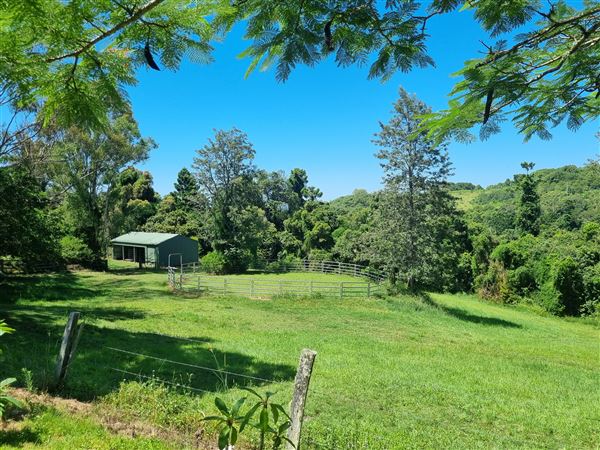 Private House - Lismore Homestead (2/02/2024 - Credits: Suzanne Roberts)
