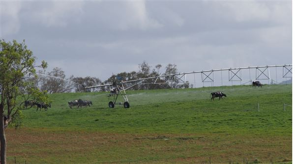 Tocal Farm (23/05/2019 - Credits: Tocal College)