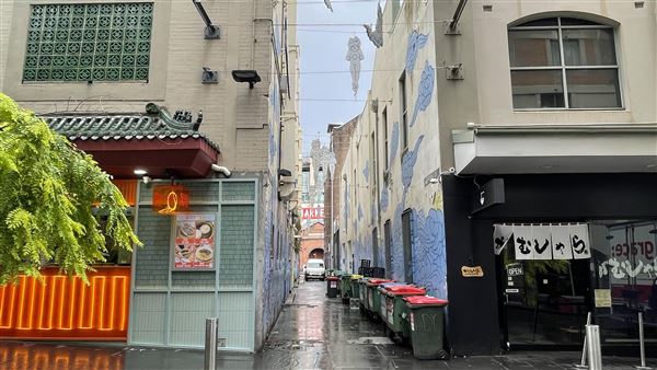 Chinatown (8/05/2024 - Credits: Shannon Wheeler)