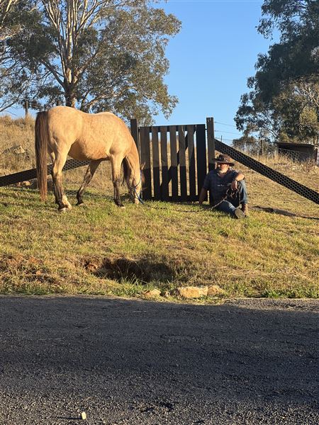 Sugarloaf Farm (3/06/2024 - Credits: submitted by: Angelina Pisani)