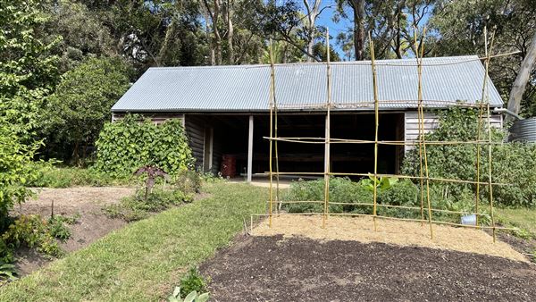 Vaucluse House (27/03/2024 - Credits: Shannon Wheeler)